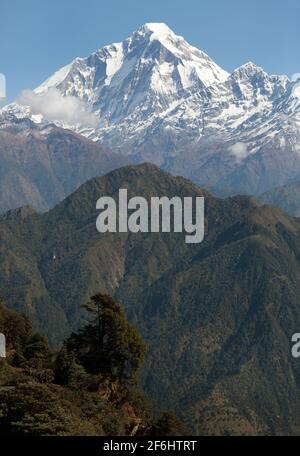 Vista del Monte Dhaulagiri - Nepal Foto Stock