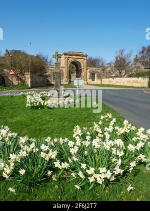 Narcisi in fiore intorno alla Croce Sassone con Gates Rudding Dietro a Follifoot vicino Harrogate North Yorkshire Inghilterra Foto Stock