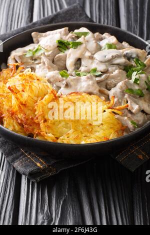 Zurigo ragout o Zurcher Geschnetzeltes Svizzera semplice ragù o stufato la ricetta in una salsa bianca è fatta con i funghi e. primo piano di vino bianco nel piatto Foto Stock