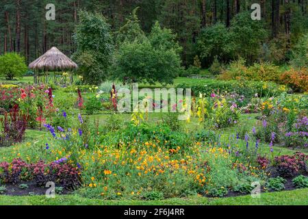 Ben mantenuto, parte del bellissimo giardino vicino alla foresta, inizio autunno Foto Stock