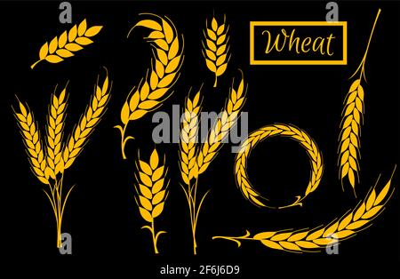 Set orecchie di grano oro icone e logo. Per lo stile di identità della società di prodotti naturali o panetteria. Grano biologico, pane agricolo. Design piatto. Su nero b Illustrazione Vettoriale