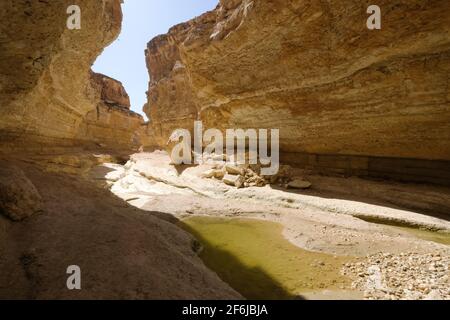 Tamerza canyon, Tozeur, Tunisia Foto Stock