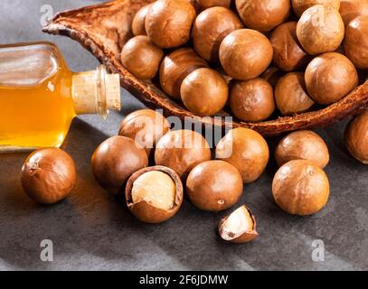 Noci e olio di macadamia - Macadamia integrifolia Foto Stock