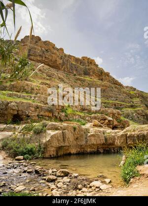 Acqua nel torrente Prat, sul bordo del deserto della Giudea, Israele, in primavera. Foto Stock