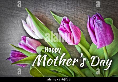 Happy Mother's Day - testo su sfondo floreale. Splendido concetto presente. Foto Stock
