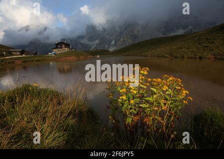 Dolomiti, Dolomiti, Südtirol, Trentino, Italien, Berghütte und Bergsee mit Blumen und Wolken am Rolle Pass oder Passo Rolle Foto Stock