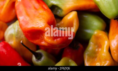 pimenta de cheiro, peperoncino Foto Stock