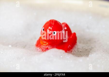 Rubber Duck nel bagno di bolle Foto Stock