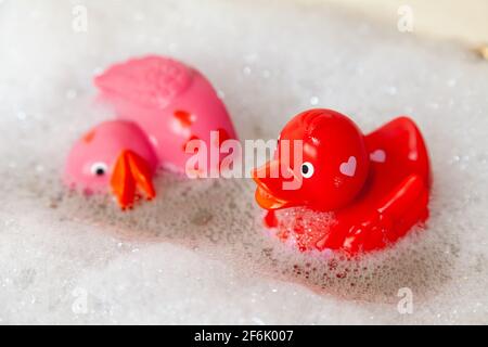 Anatre di gomma in bagno di bolle Foto Stock