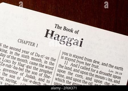 Questa è la Bibbia di Re Giacomo tradotta nel 1611. Non esiste alcun diritto d'autore. Titolo pagina del Libro di Haggai Foto Stock