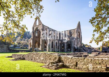 Tintern Abbey, un'abbazia cistercense del 12 ° secolo sulle rive del fiume Wye a Tintern, Monmouthshire, Galles UK Foto Stock