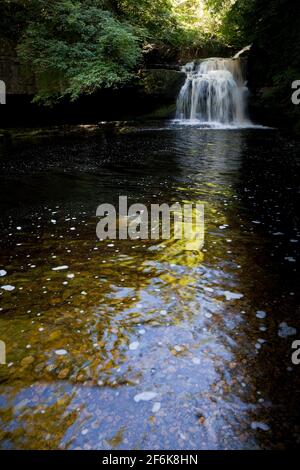 West Burton Falls in estate, North Yorkshire, Inghilterra, Regno Unito Foto Stock