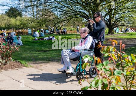 Regent's Park London UK Queen Mary's Gardens - gentleman in Sedia a rotelle godendo la giornata più calda nel marzo 2021 dopo la facilità di restrizioni di blocco Foto Stock