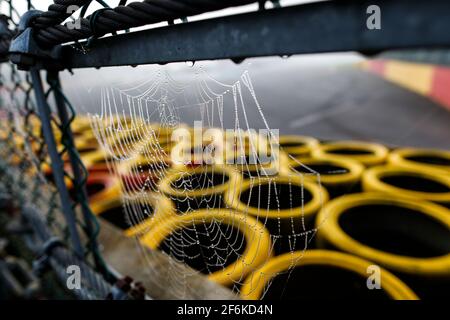 Partenza da toile d'araignée Spider web durante la Formula Renault 2.0 2017 a Spa Francorchamps, Belgio, dal 22 al 24 settembre - Foto Frederic le Floc'h / DPPI Foto Stock