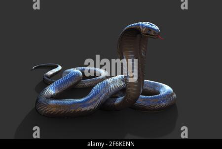 Illustrazione 3d King Cobra il serpente venomoso più lungo del mondo isolato su sfondo nero, King Cobra Snake, 3d rendering Foto Stock