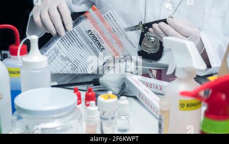 lo scienziato della polizia estrae il coltello dal sacchetto di prova nel laboratorio di criminalità, immagine concettuale Foto Stock