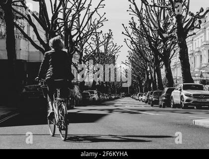 Lady pedalando lungo Hollad Park con alberi pollardati su entrambi lato della strada Foto Stock