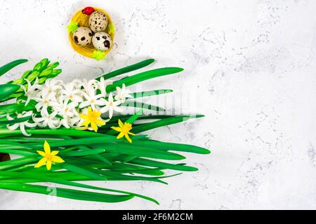 Concetto di primavera, Pasqua. Uova di Pasqua gialle in un nido accanto ad un bouquet di narcisi su un tavolo di cemento bianco. Luogo per un'iscrizione. La base per Foto Stock