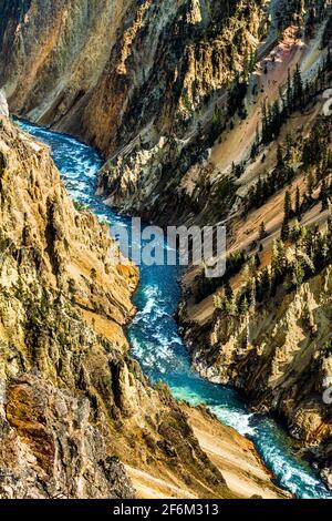 Il Grand Canyon di Yellowstone Foto Stock
