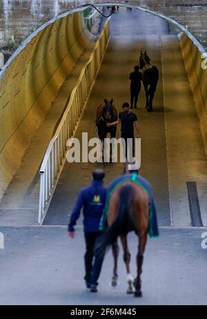 Una vista generale mentre i corridori si fanno strada da e per le scuderie attraverso il tunnel sotto la pista di Chelmsford City Racecourse. Data immagine: Giovedì 1 aprile 2021. Foto Stock