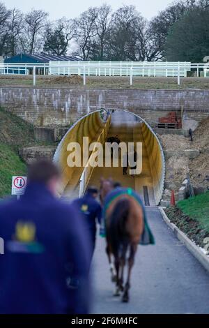 Una vista generale mentre i corridori si fanno strada da e per le scuderie attraverso il tunnel sotto la pista di Chelmsford City Racecourse. Data immagine: Giovedì 1 aprile 2021. Foto Stock