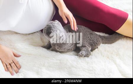 Una donna incinta con un gatto si trova a letto. Fuoco selettivo. Animale. Foto Stock