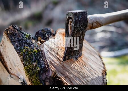 Un'ascia che è tagliata in un pezzo di legno Dalla foresta svedese Foto Stock