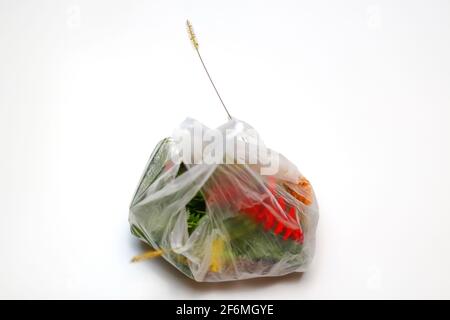 SFOCATURA. Giorno della terra. Fiori di piante rosse e verdi in un sacchetto di plastica su sfondo bianco. Una lama asciutta di erba si stacca. Problemi ecologici. Fuori Foto Stock