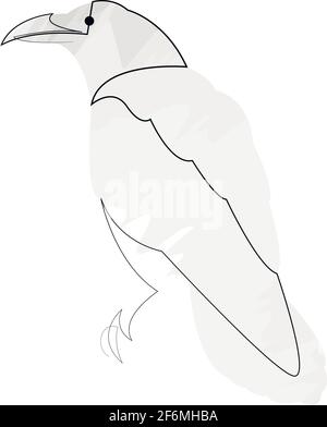 Raven a linea continua. Illustrazione vettoriale crow stile minimo a riga singola. Disegno astratto degli uccelli Illustrazione Vettoriale