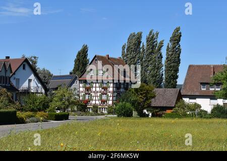 La Chiesa abbaziale di Santa Maria e Marco in Reichenau Mittelzel. Foto Stock