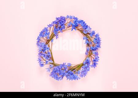 Telaio rotondo, corona fatta con fiori di rondine Foto Stock