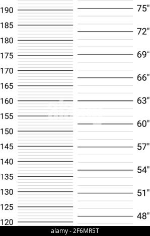 Sfondo mugshot. Muro della linea di polizia con scale sia metriche che imperiali Illustrazione Vettoriale