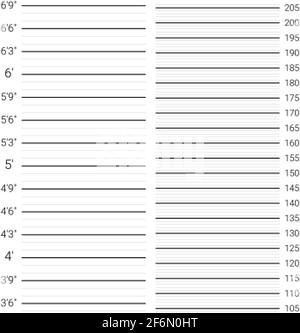 Sfondo mugshot. Parete di polizia con scala di misurazione dell'altezza. Illustrazione Vettoriale