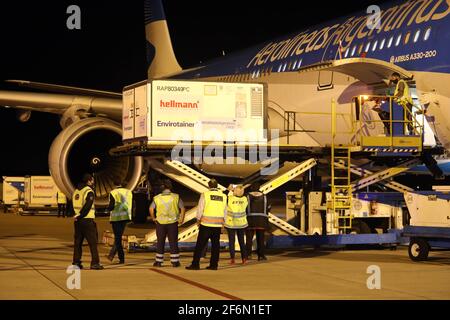 Buenos Aires, Buenos Aires, Argentina. 1 aprile 2021. Oggi 1 milione di vaccini cinesi Sinopharm sono arrivati all'aeroporto internazionale Ezeiza di Buenos Aires su un volo Aerolineas Argentinas. Credit: Claudio Santisteban/ZUMA Wire/Alamy Live News Foto Stock