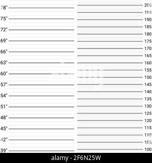 Sfondo mugshot. Parete di polizia con scala di misurazione dell'altezza. Illustrazione Vettoriale
