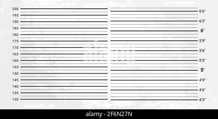 Sfondo mugshot. Parete di polizia con scala di misurazione dell'altezza. Illustrazione Vettoriale