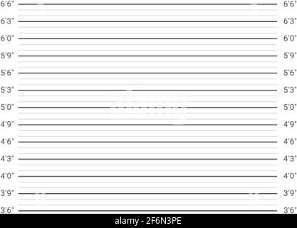 Polizia mugshot sfondo. Scala di misurazione dell'altezza della persona. Illustrazione Vettoriale