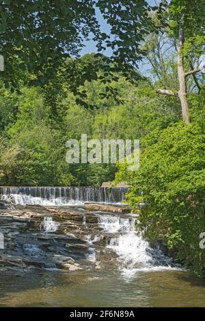 Weir e cascata sul fiume Lower Clydach, Clydach, Swansea, Galles del Sud, Regno Unito Foto Stock
