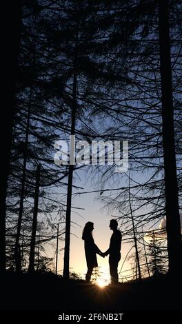 Dal basso si può ammirare la silhouette di coppia amorevole che si posano nella foresta di abeti da sera. Natura selvaggia con viste incredibili, caldo e splendido tramonto estivo, uomo e donna che tengono le mani e si sentono felici. Foto Stock