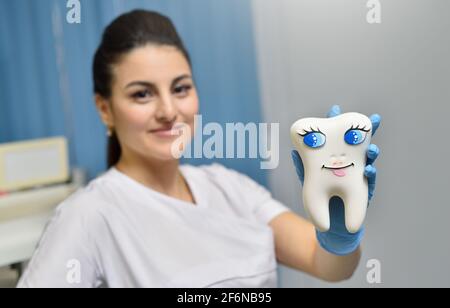 Donna bambini dentista che mostra un grande dente giocattolo Foto Stock