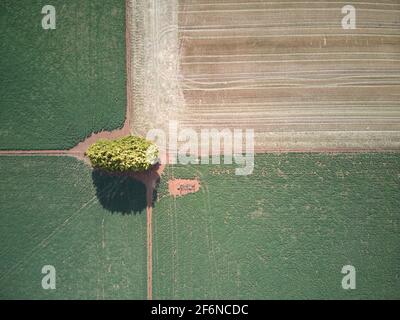 Agricoltura aerea terra e paesaggio agricolo, modelli di raccolto e piste con sfondo verde e marrone, Victoria, Australia. Foto Stock