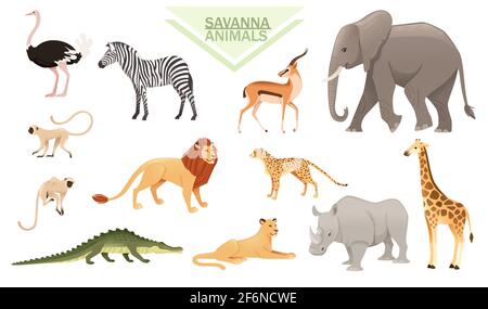 Set di animali africani savana e africano bestia cartoni animati animale disegno vettoriale illustrazione su sfondo bianco. Illustrazione Vettoriale