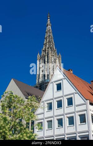 Il campanile della Cattedrale di Ulm, la chiesa più alta del mondo, la Germania Foto Stock