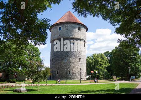 Tallinn, Estonia - 29 giugno 2019: Kiek-in-de-Kok, torre medievale di cannone nella città vecchia. Torre dell'artiglieria Baltica Foto Stock