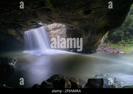 Cascata Natural Bridge nello Springbrook National Park, Queensland Foto Stock