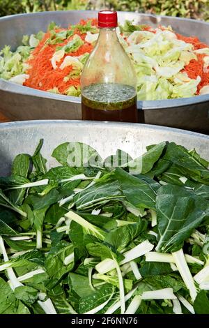 Tagliare le foglie di cavolo di napa, le carote e il cavolo cinese in ciotole, pronte per essere preparate come insalata, una bottiglia con erbe e aceto messi accanto Foto Stock