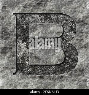 Grafica quadrata: Lettera maiuscola con il carattere maiuscolo B, un rilievo profondo riempito di piante Foto Stock