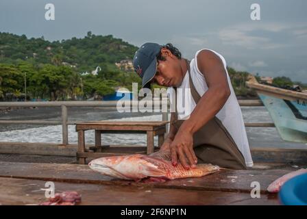 La Libertad, El Salvador. 11-18-2019. Giovane pescatore maschile sta pulendo un pesce al porto di la Libertad in El Salvador. Foto Stock