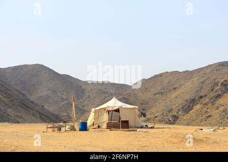 Allevamento di capra deserto Arabia Saudita Foto Stock