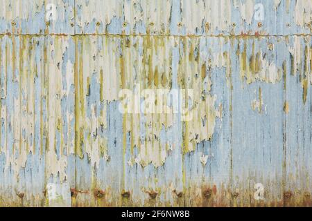 Tetto in ferro corrugato, fogli di metallo corrugato con vernice da peeling. Grunge texture, pattern o background, UK Foto Stock